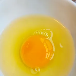 해옥정 사진