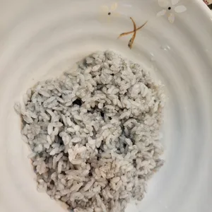 천호낙지 사진