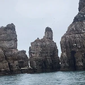 유명찐빵 대표 사진