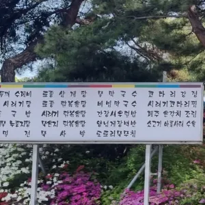 봉녀수제비 리뷰 사진