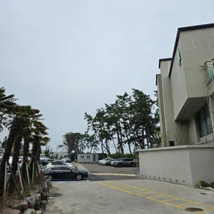 헤이든 리뷰 사진