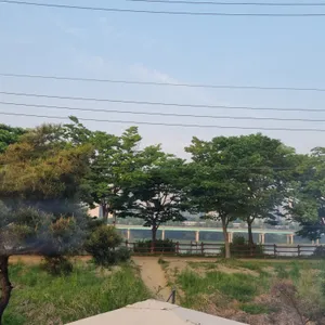 드로게리아 대표 사진