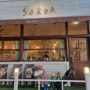 소코아 리뷰 사진