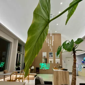 소풍농월 리뷰 사진