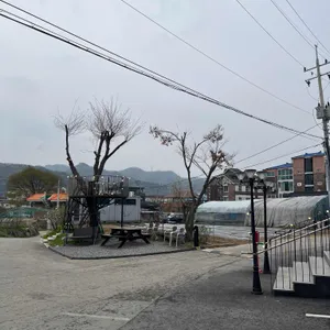 청록야생촌 리뷰 사진
