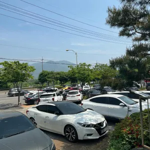 밀빛초계국수 리뷰 사진