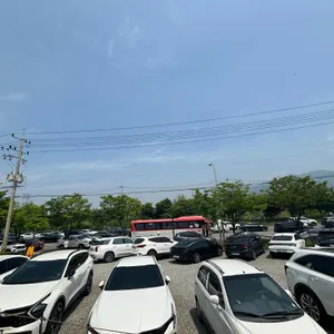 밀빛초계국수 리뷰 사진