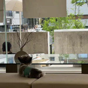 공각 리뷰 사진