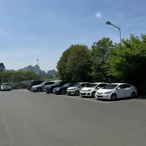 솔잎 리뷰 사진