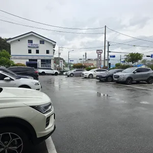 강릉 초당콩감자탕 리뷰 사진