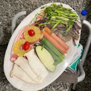 숲501 사진