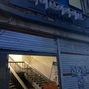 라이브 어 라이브 리뷰 사진