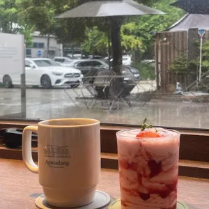 앞마당 사진