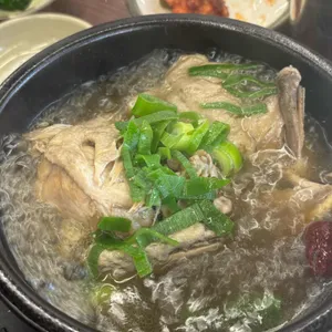 오리사냥 사진