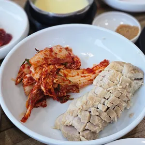 벽오동 사진