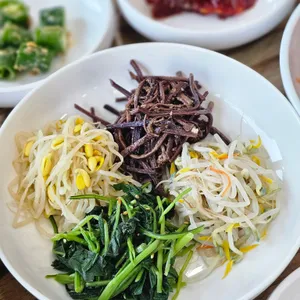 벽오동 사진