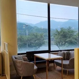 도로티 리뷰 사진