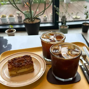 도야팡 사진