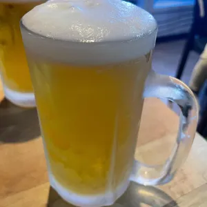 야들리애 사진