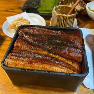 타마 사진