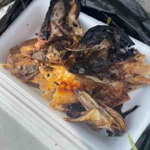 마시란어반 사진