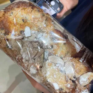 본누벨 사진