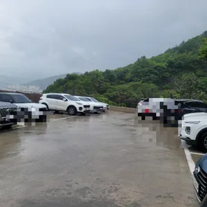 메리클리프 리뷰 사진