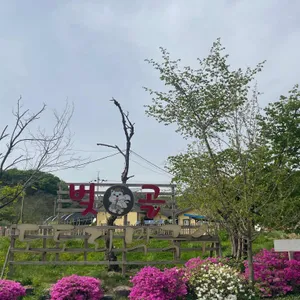 벚골도토리막국수 대표 사진
