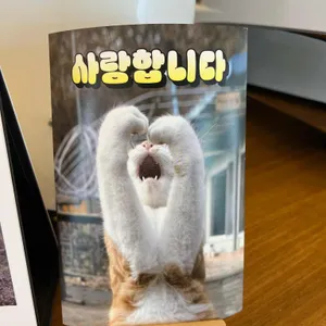 카페 포토이 리뷰 사진