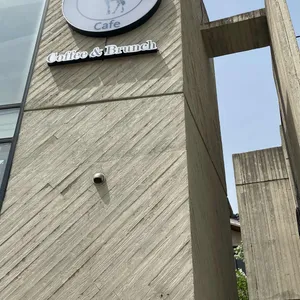 로덴드론 리뷰 사진