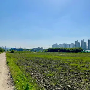 대산육가공 리뷰 사진