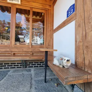 고도 커피 리뷰 사진