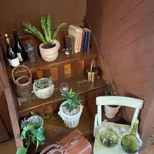 포모르 리뷰 사진