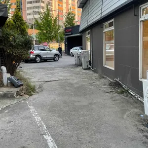 덤식당 리뷰 사진