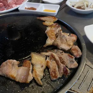 도새기 사진