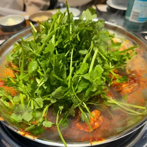 신비옥 사진