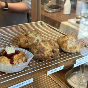 헨리스플랏 사진