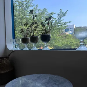 엘부리또 리뷰 사진