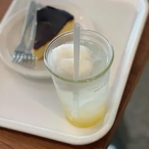 리시트 사진