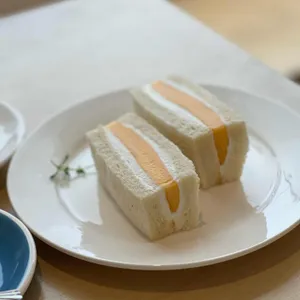 부쉬 사진
