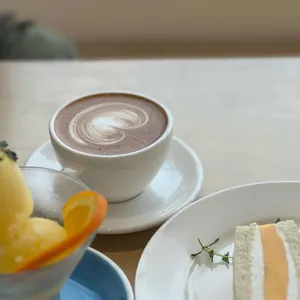 부쉬 사진