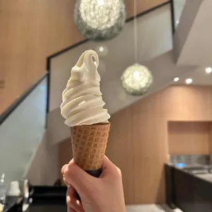 폴 바셋 사진
