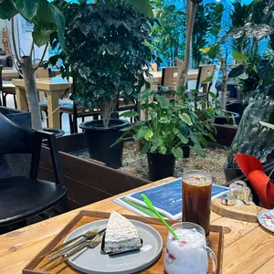 파노라마포레스트180 리뷰 사진