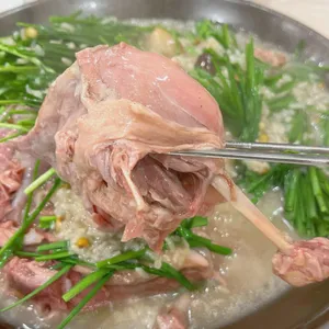해조톳오리 사진