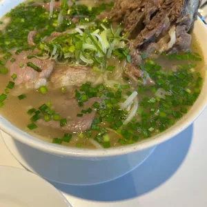 포레스트오늘,숲 사진