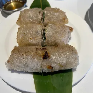 포레스트오늘,숲 사진
