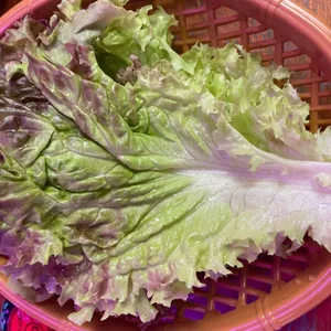 티라노곱창 사진