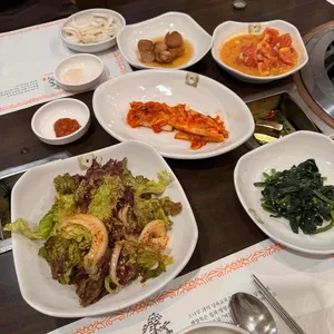 백향목 사진