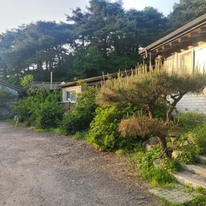 천등산 염소마을 리뷰 사진