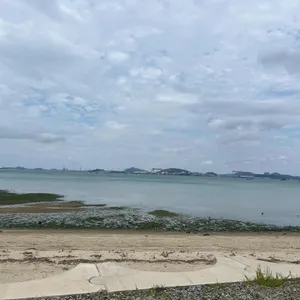 신창손 순대국밥 리뷰 사진